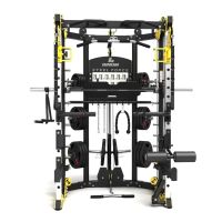Binom Steel Force B10 NEUES MODELL Multigym, Double Pulley, Power Rack, Multipower, Beinpresse und Zubehör
